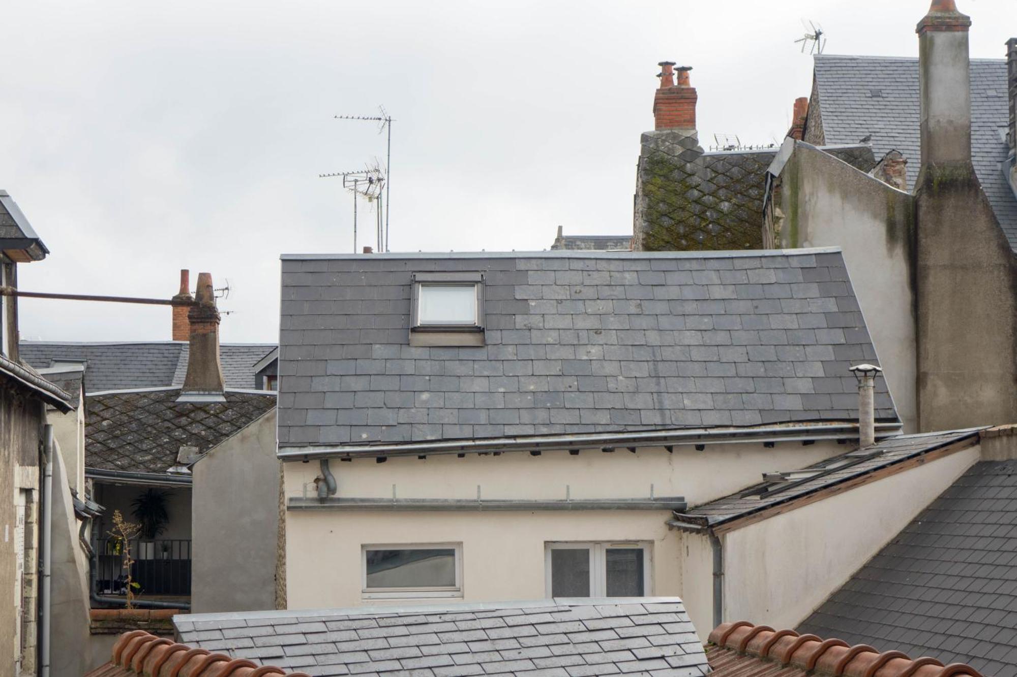 Orleans Centre Historique - Charmant T2 - L'Evasion Orleanaise Esterno foto